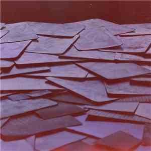 Feine Trinkers Bei Pinkels Daheim - Papagoyenboom download flac