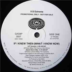 II D Extreme - If I Knew Then (What I Know Now) download flac