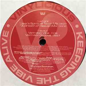 Nicolicious - Vermilion Vibe download flac