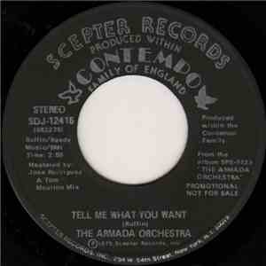 The Armada Orchestra - Tell Me What You Want download flac