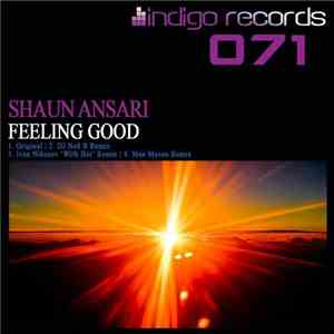 Shaun Ansari - Feeling Good download flac