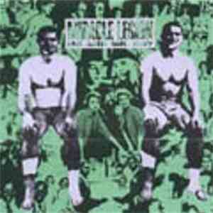 Miracle Legion - Me And Mr. Ray download flac