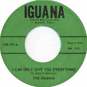 The Iguanas  - I Can Only Give You Everything download flac