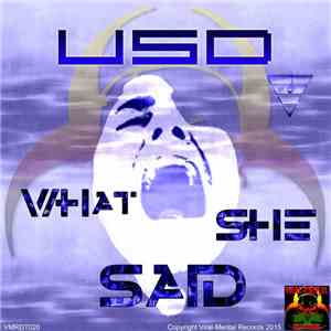 USD  - What She Said download flac
