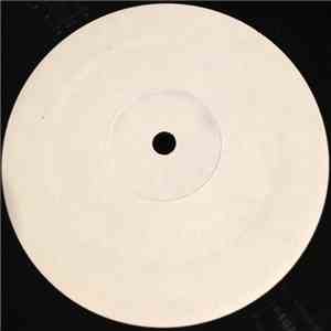 The Bass Boyz - Music Takes You Away download flac