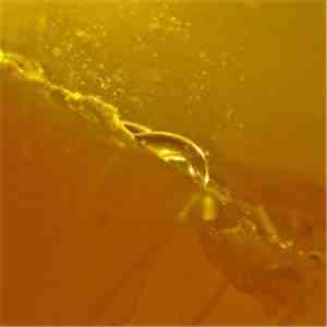 Alejandro Remeseiro - Uccelli Notturni download flac