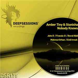 Amber Tiny & Stanisha - Nobody Knows download flac