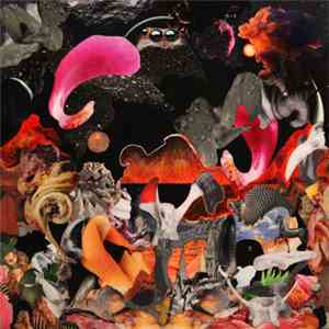 Bezoar  - Wyt Deth download flac