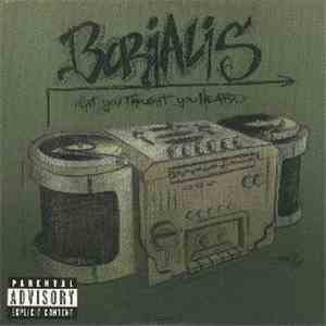 Borialis - What You Thought You Heard download flac