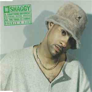 Shaggy - Something Different / The Train Is Coming download flac