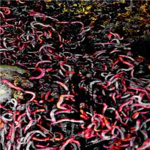 X=18 - A Dose Of Worms download flac