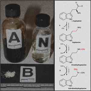 ANbRx Pharmaceuticals - Isolation Tank - DMT download flac