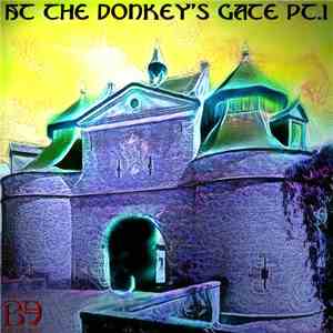 Bearded Electronics - At the donkey's gate pt.1 download flac