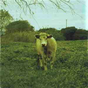 Chickn - Chickn download flac
