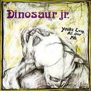 Dinosaur Jr. - You're Living All Over Me download flac