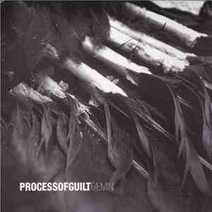 Process Of Guilt - Fæmin download flac