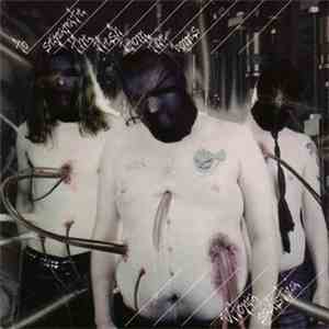 To Separate The Flesh From The Bones - Utopia Sadistica download flac