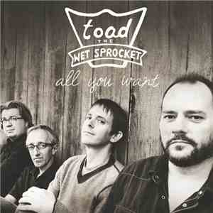 Toad The Wet Sprocket - All You Want download flac