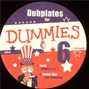 Various - Dubplates For Dummies Vol. 6 download flac