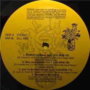 Various - Wicked Mix 06 download flac