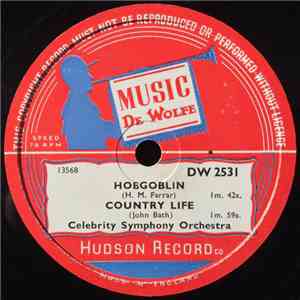 Celebrity Symphony Orchestra - Hobgoblin download flac