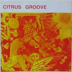 Citrus Groove - Mesmerized download flac