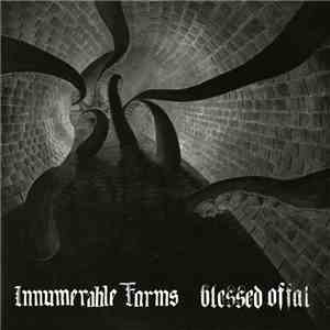 Innumerable Forms / Blessed Offal - Innumerable Forms / Blessed Offal download flac