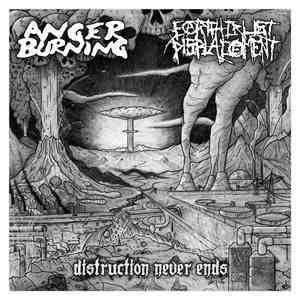Anger Burning / Earth Crust Displacement - Distruction Never Ends download flac