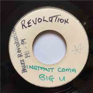 Big U - Instant Coma download flac