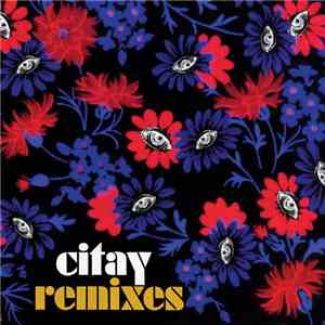 Citay - Remixes download flac