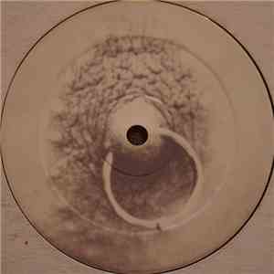 DJ Renegade - Murda Choonz 2 download flac