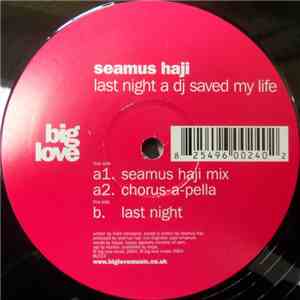 Seamus Haji - Last Night A DJ Saved My Life download flac
