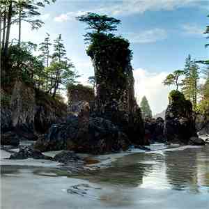 Segue - Pacifica download flac