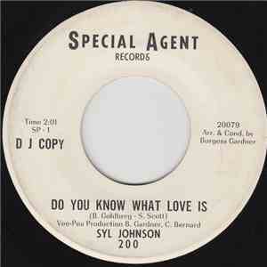Syl Johnson - Do You Know What Love Is download flac