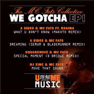 The MC Fats Collective - We Gotcha EP1 download flac