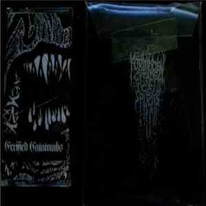 Forbidden Citadel Of Spirits - Eerified Catatombs download flac