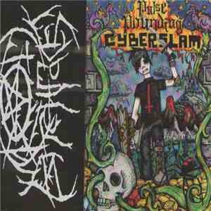 Iron Bitchface - Pulse Pounding Cyber Slam download flac