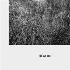 PLY, Mathias Delplanque, Guillaume Ollendorff - Sans cesse download flac