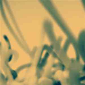 Solar Fields - Jeezlh download flac