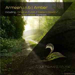 Armeen.i.n.b - Amber download flac