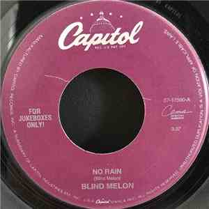 Blind Melon - No Rain / Tones Of Home download flac