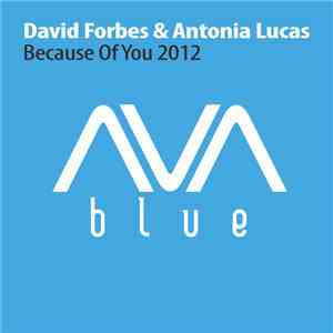 David Forbes & Antonia Lucas - Because Of You 2012 download flac
