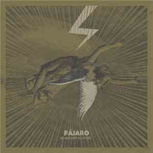 Pájaro - He Matado Al Ángel download flac