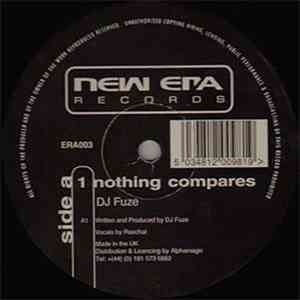 DJ Fuze / DJ Stompy Featuring DJ Fuze - Nothing Compares / Together In Harmony download flac