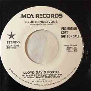 Lloyd David Foster - Love At First Sight / Blue Rendezvous download flac
