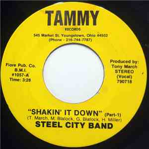 Steel City Band - Shakin' It Down FLAC album