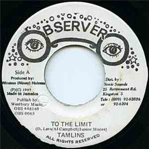 Tamlins - To The Limit download flac