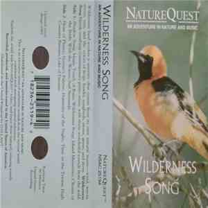Unknown Artist - Wilderness Song download flac