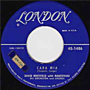 David Whitfield With Mantovani, His Orchestra And Chorus - Cara Mia / How, When Or Where download flac