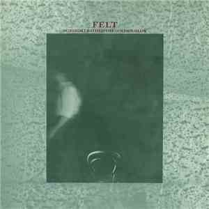 Felt - Sunlight Bathed The Golden Glow download flac
